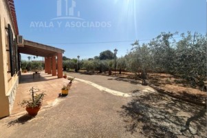 FINCA RUSTICA EN VENTA, PARAJE LOS NAVARROS (LA ALJORRA)